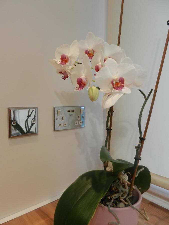 Boynton Hill B&B Nottingham Ngoại thất bức ảnh